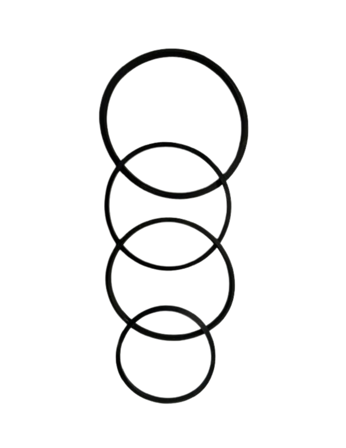 V-Ring Seal