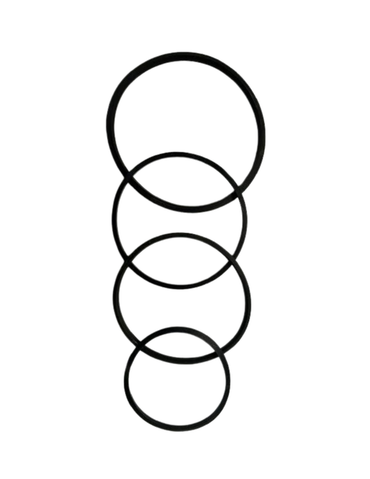 V-Ring Seal