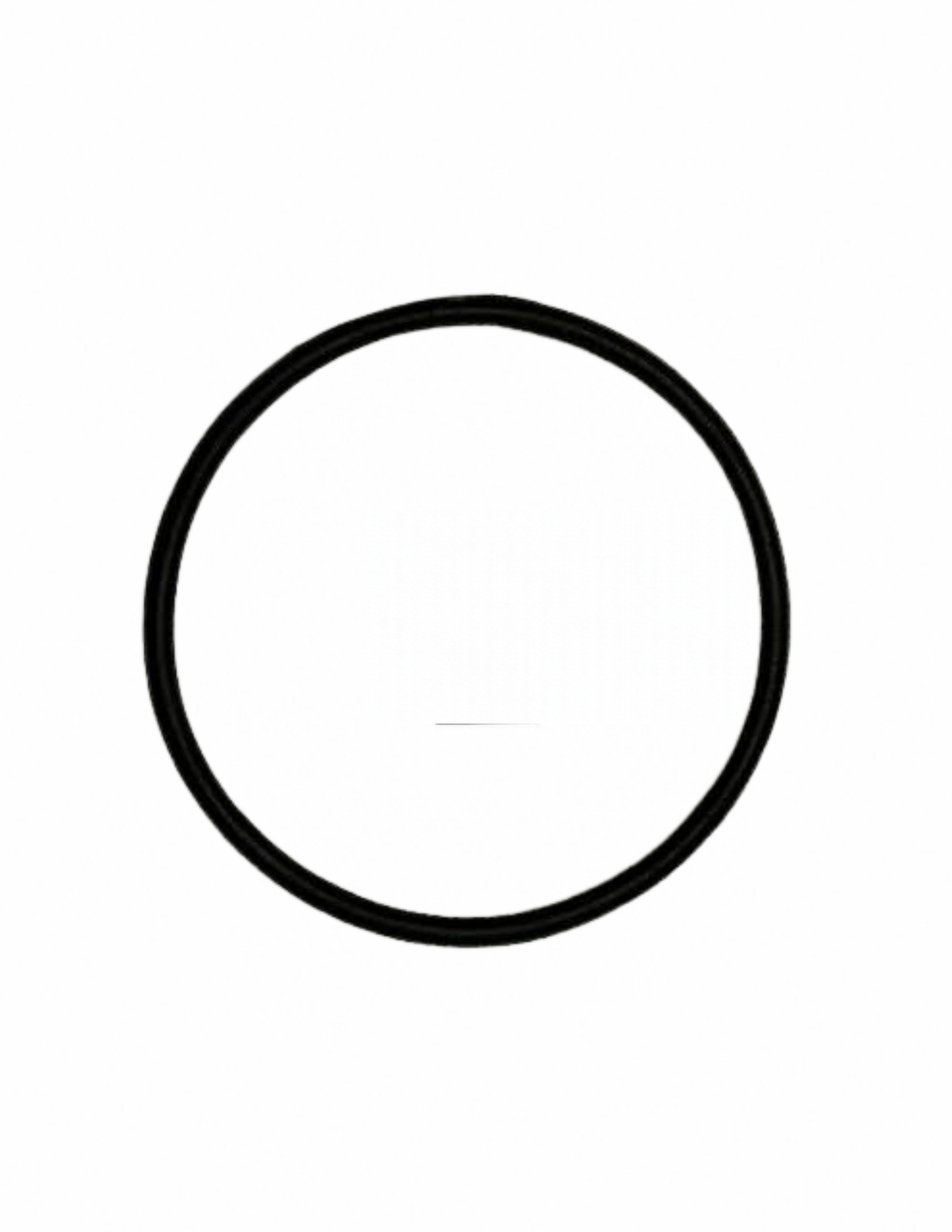 O Ring Gasket